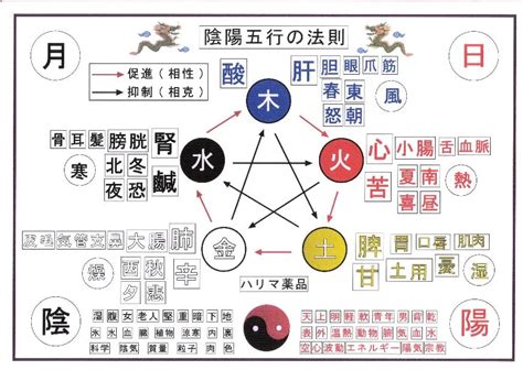 凱五行|【凱 五行】揭秘「凱」五行屬什麼？深入解析「凱」的豐富意涵